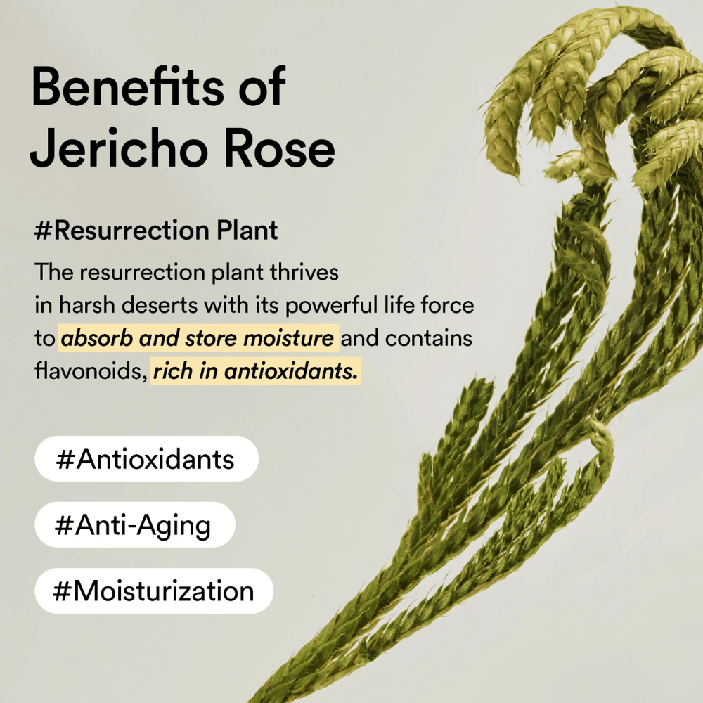 Collagen Eye Crème Jericho Rose Tube 30ml
